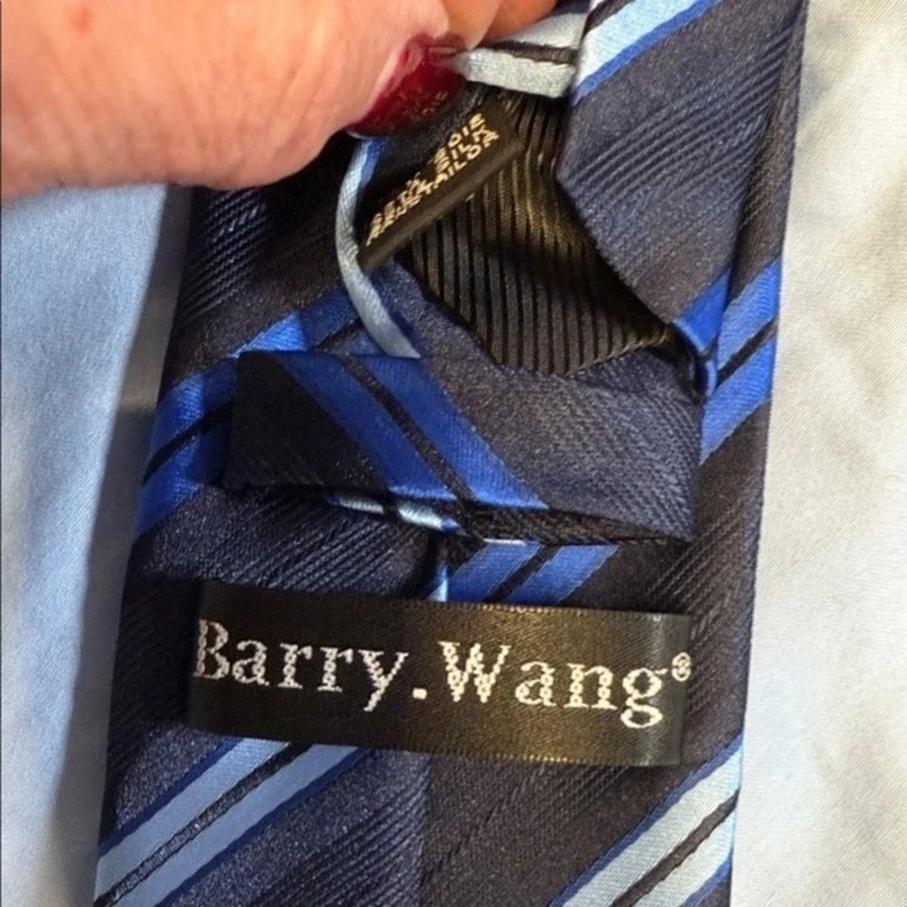 Barry‎ Wang 100% Silk Tie – Blue & Charcoal Stripe – Italian Style